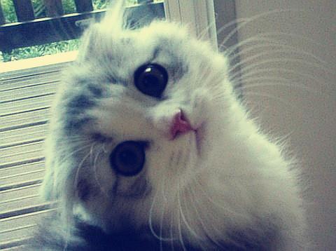 ǰ11¹ҵҵʵ57445Ԫ ͬ2.4%